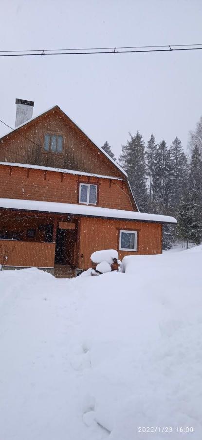 Homestay домашній затишок