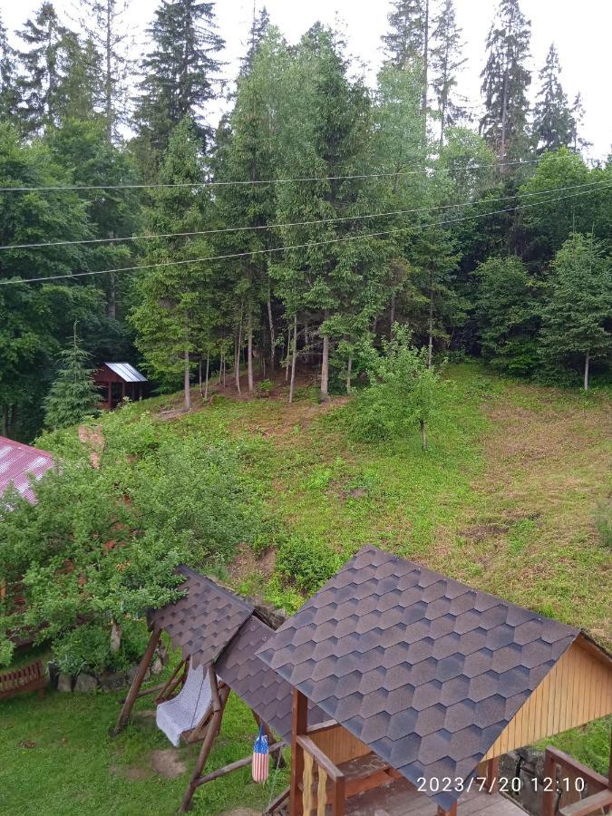 домашній затишок Homestay *