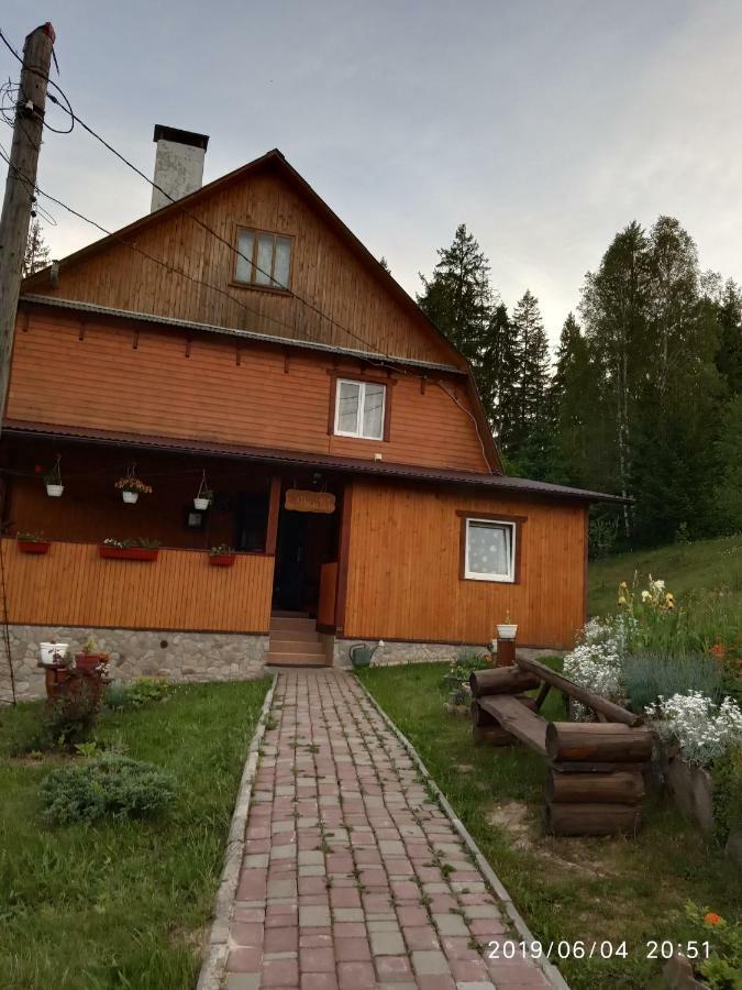 домашній затишок Homestay