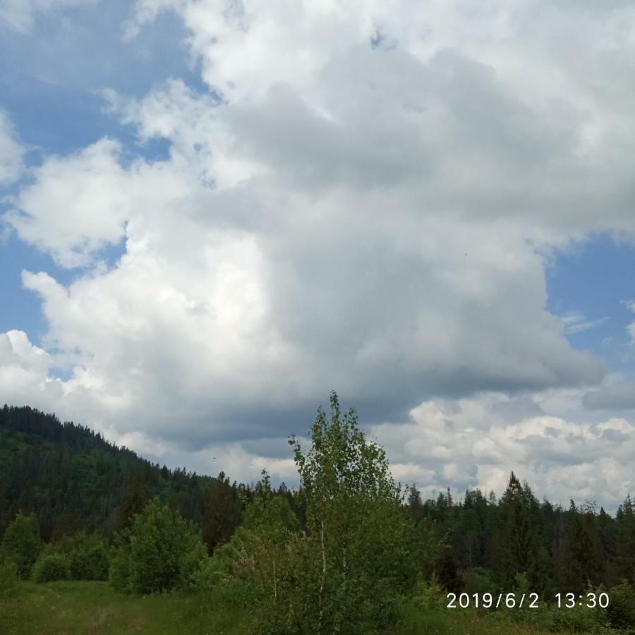 Homestay домашній затишок