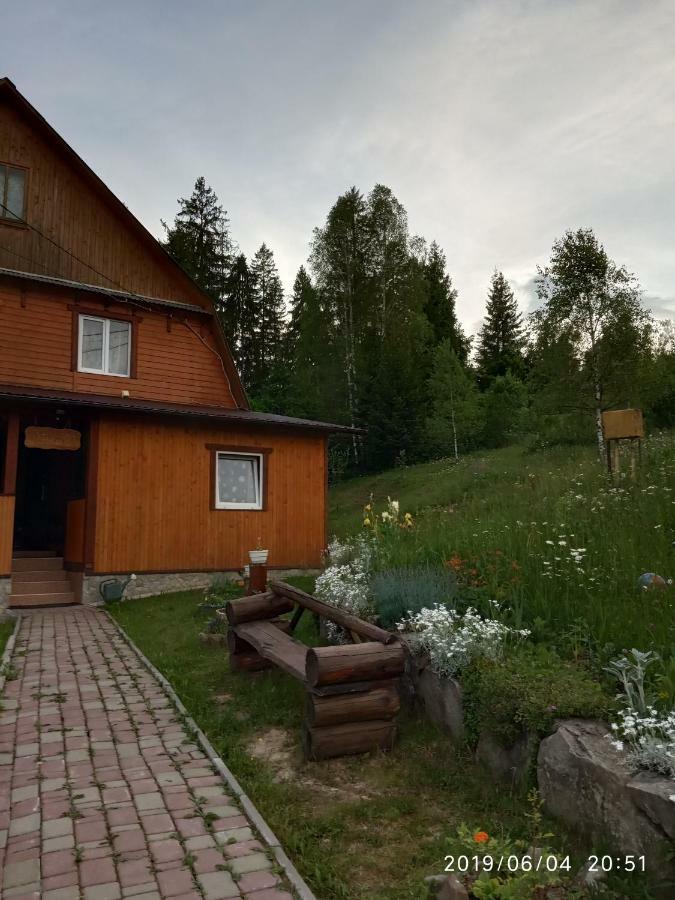 Homestay домашній затишок Slavske